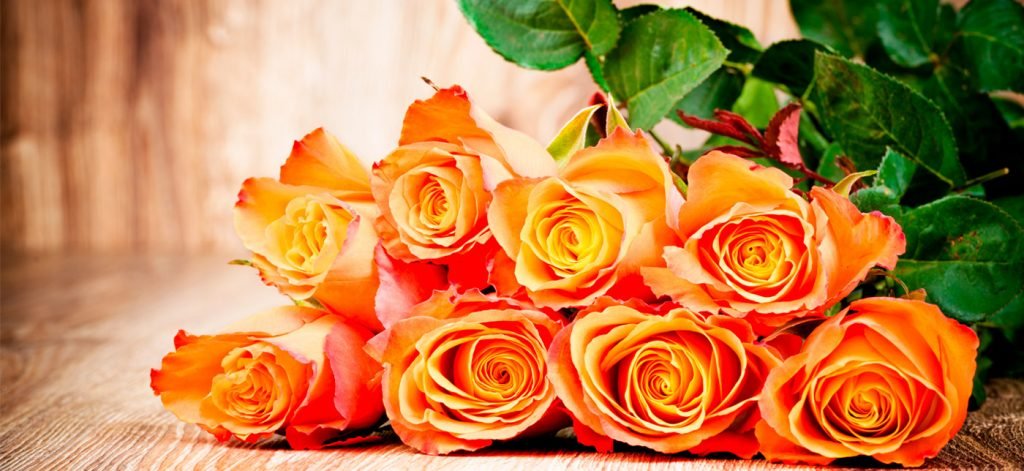Rosas Naranjas Ecuador